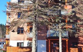 Apartament Słoneczny 11